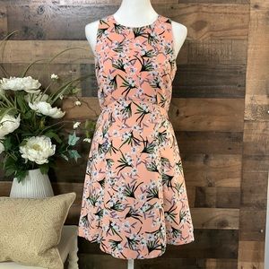 🍃🌸 Banana Republic Dress Size 0